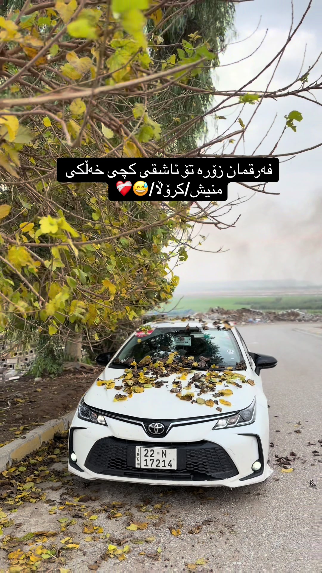 @hama-haybred