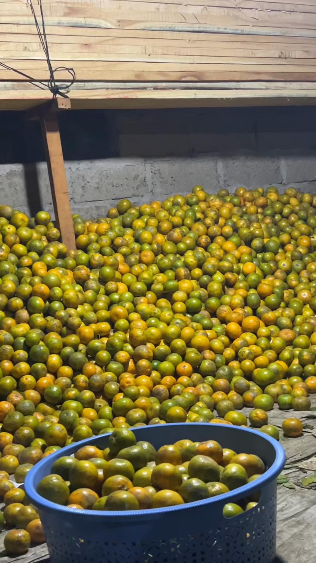 @Anakpetani🍊