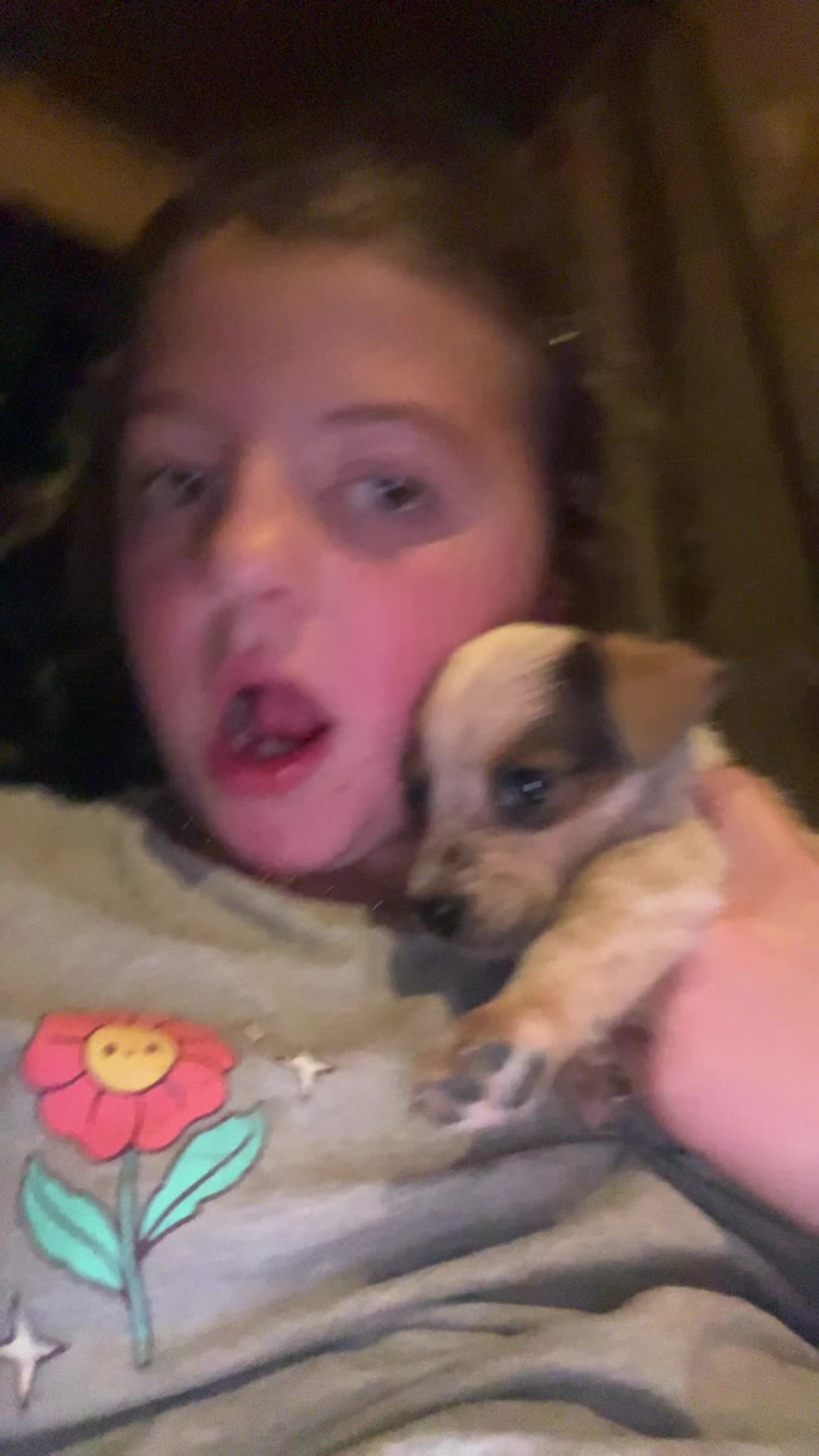 @vadablakeney