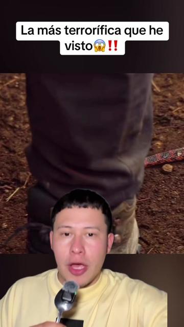@Peliculones4k