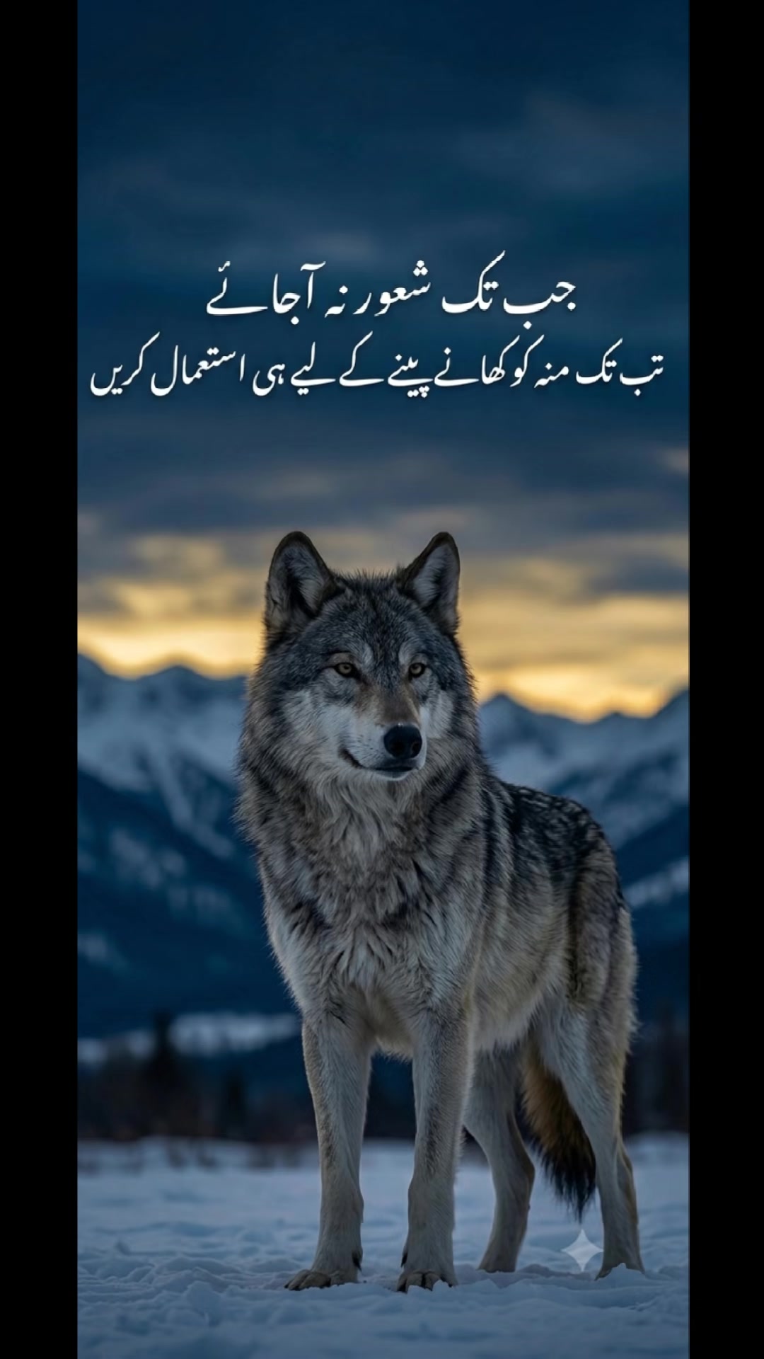 @Syed 804