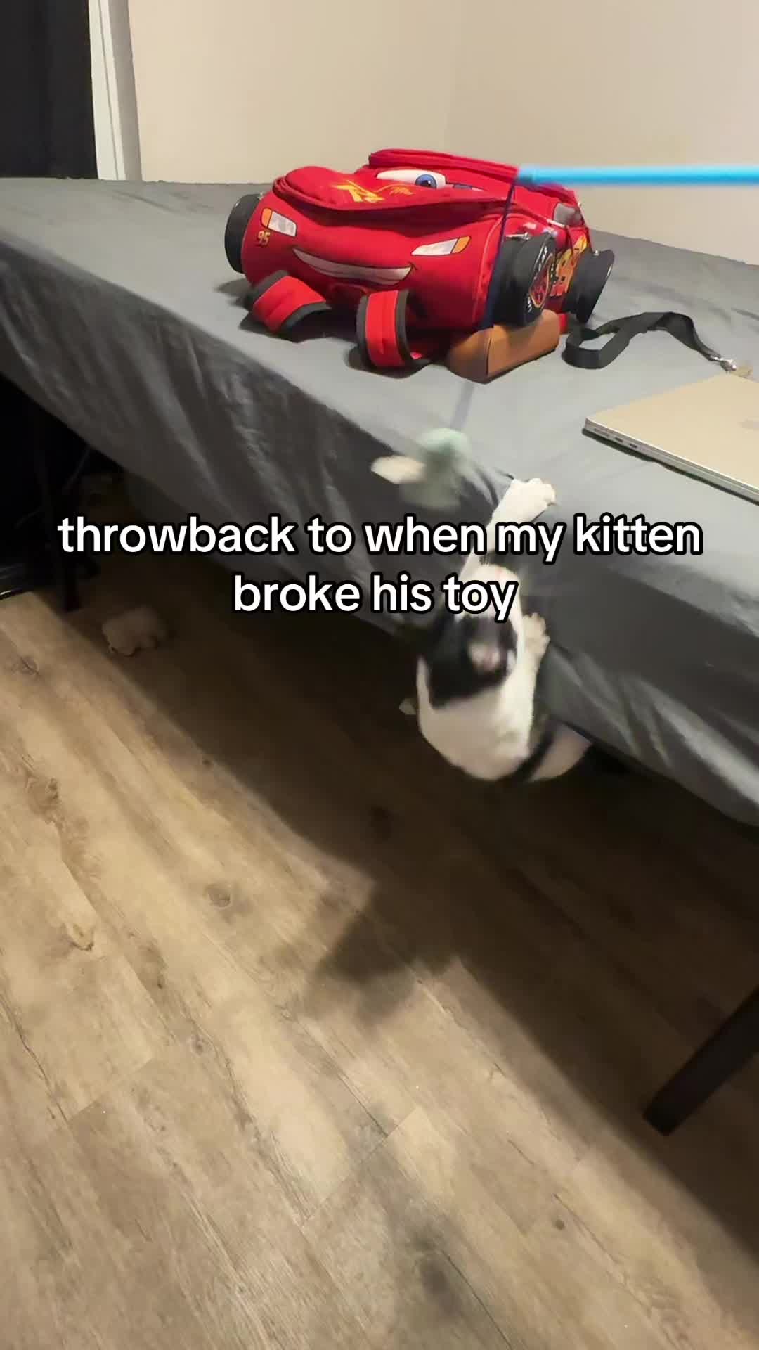@ShawnWasHere