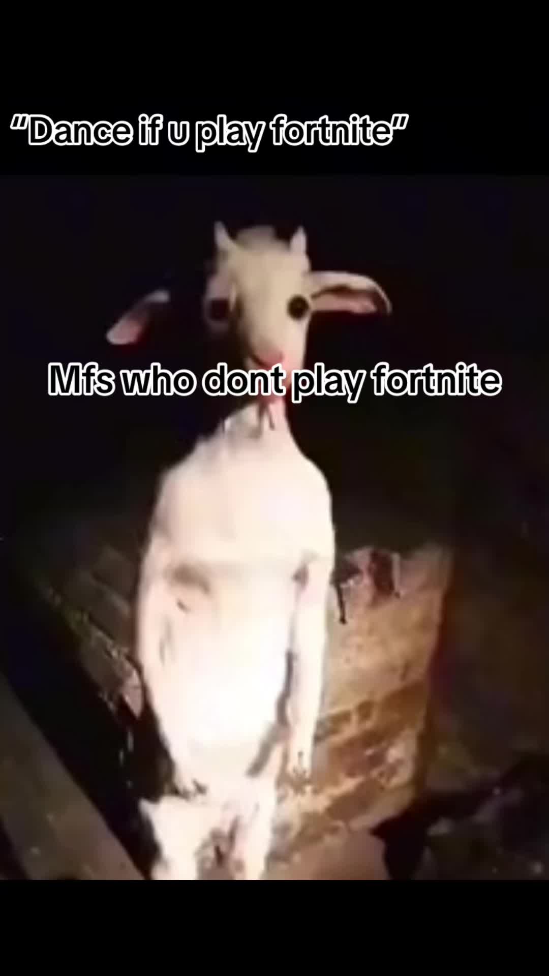 @Exp
