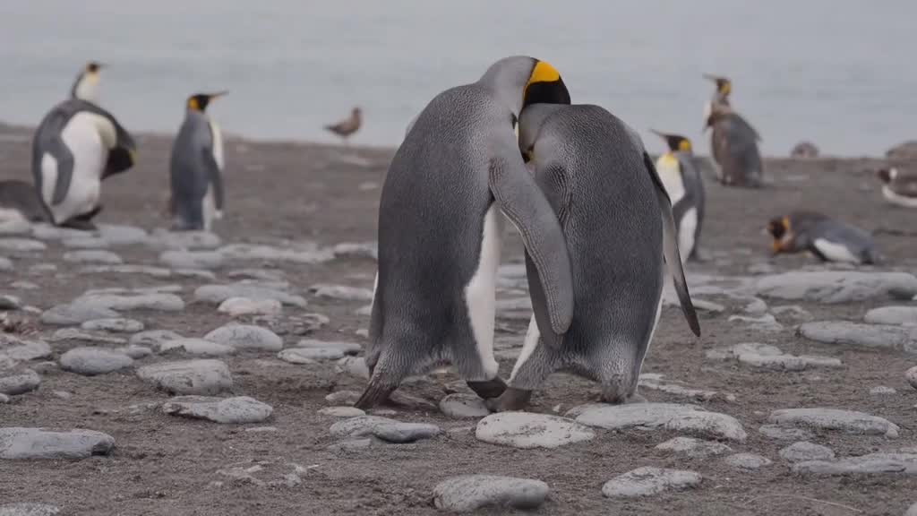 @Mating