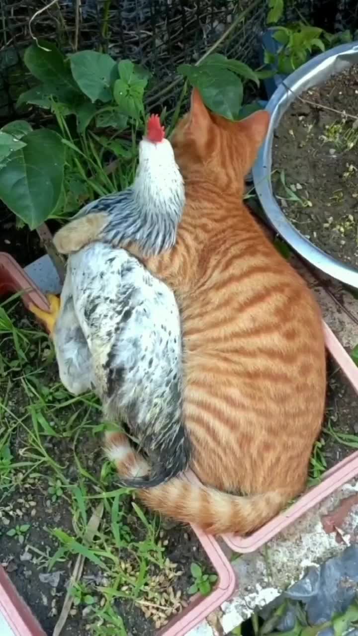 @bishuvmn1cp
