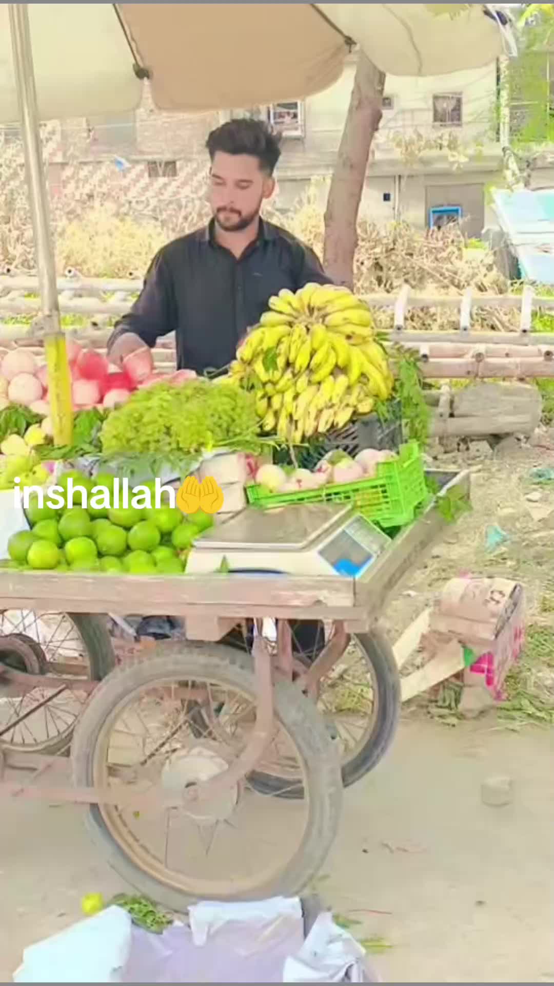 @reddy Waly 751