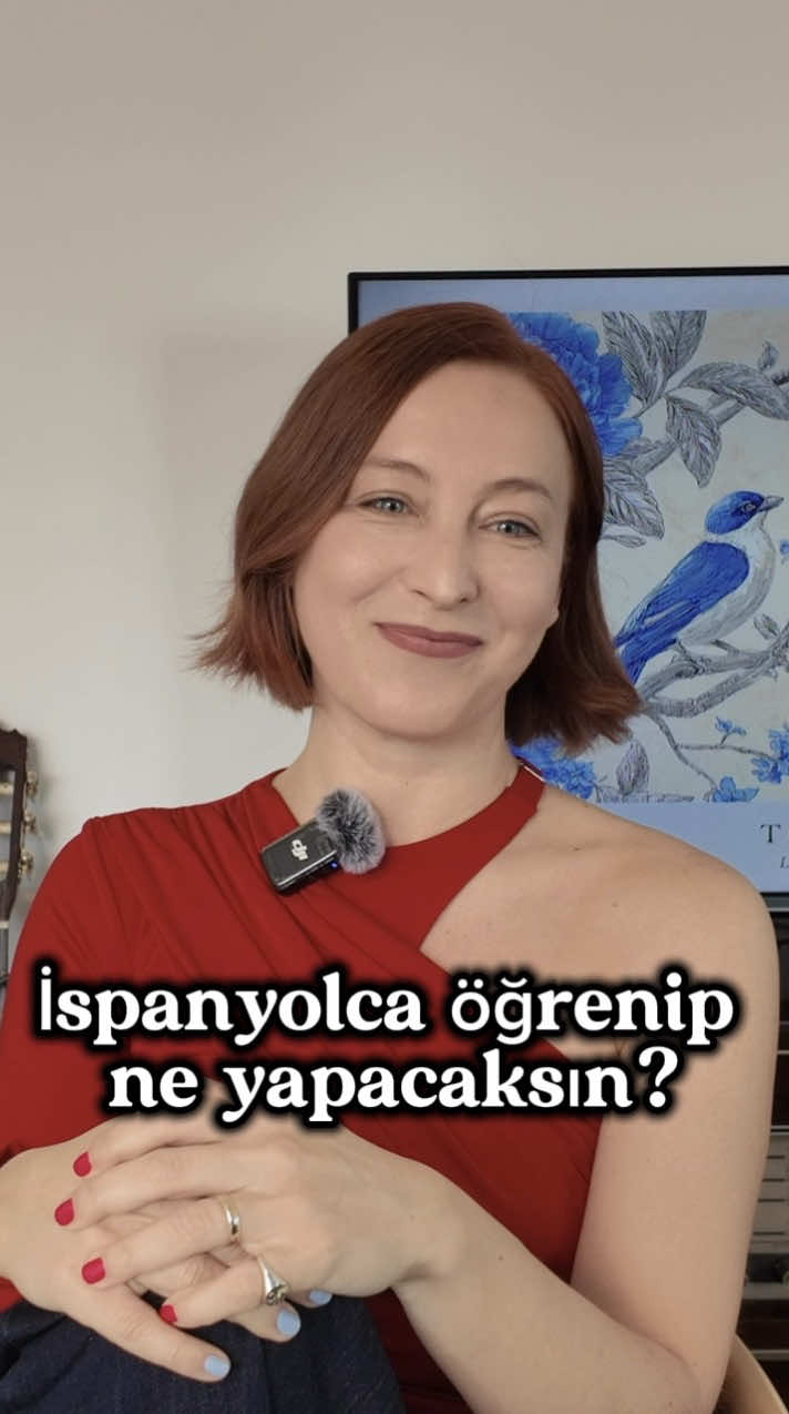 @aysu melis