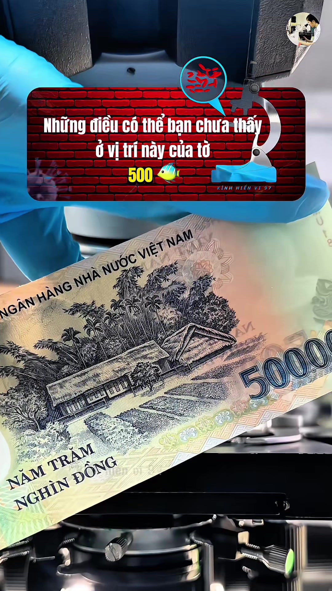 @Kinhhienvi97