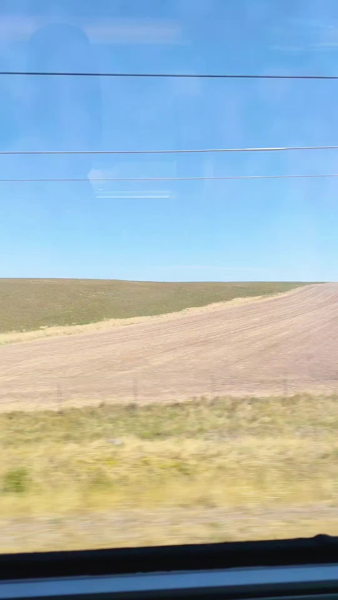 @tahar azul