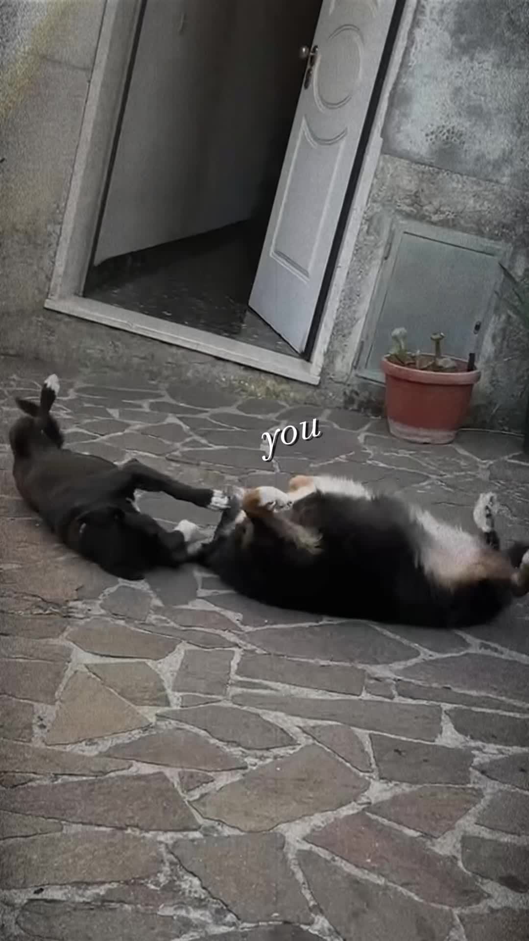 @M