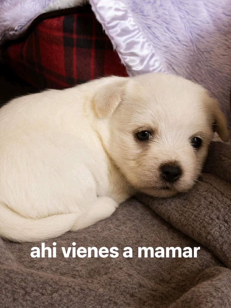 @Oliver 3