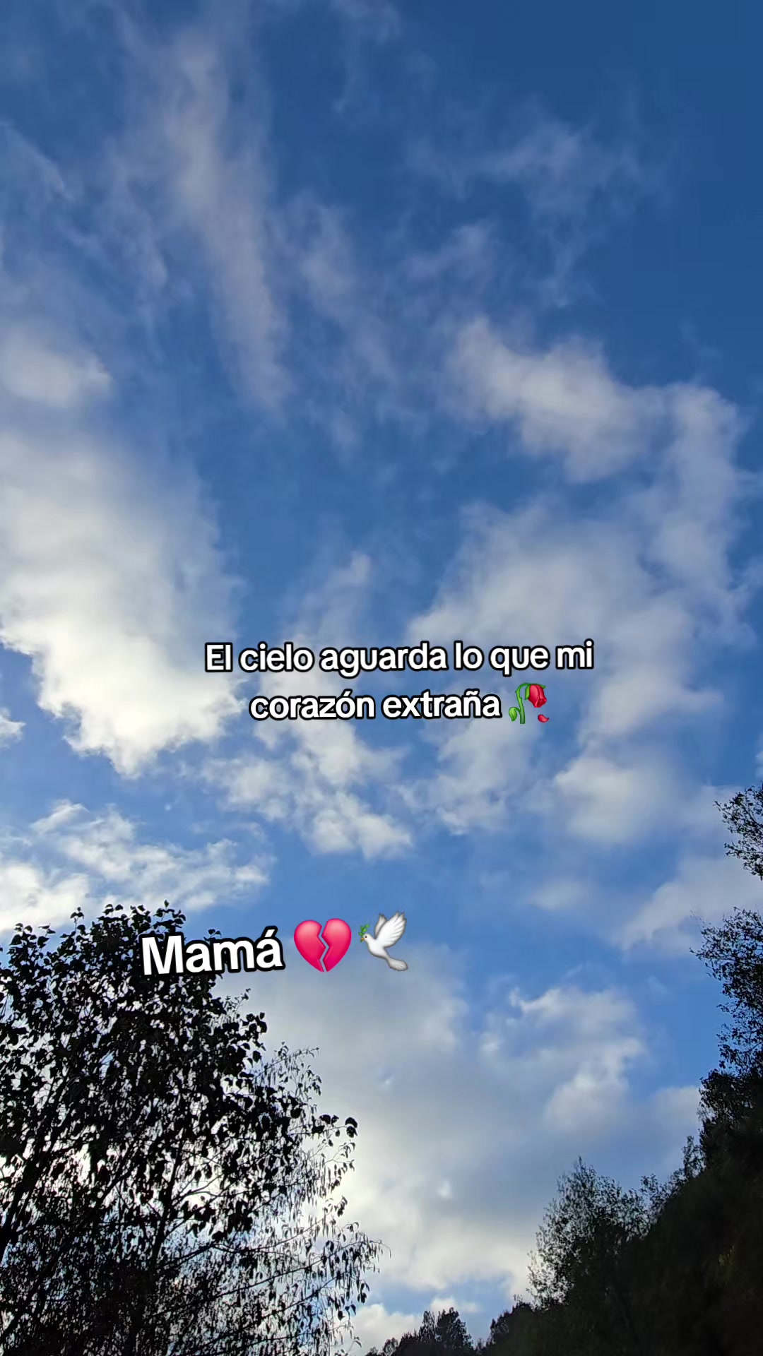 @Salas🙊