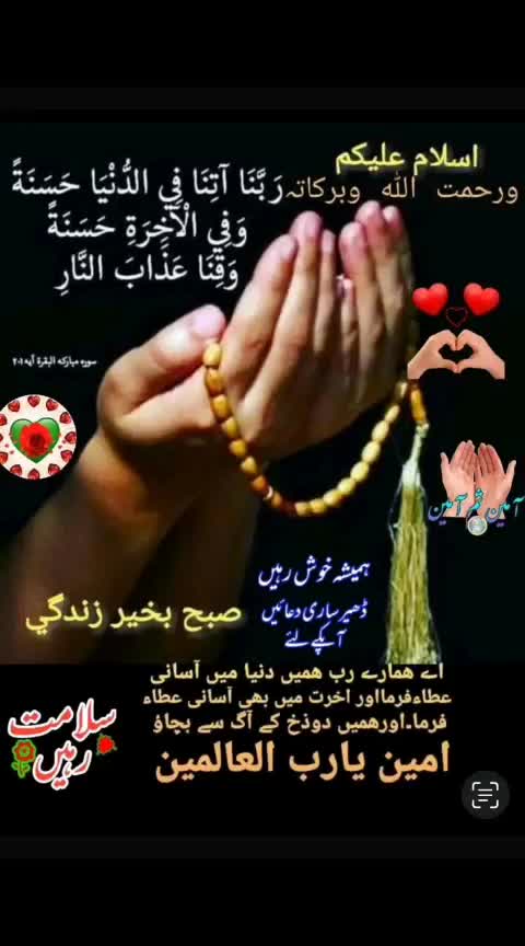 @mohamad momin