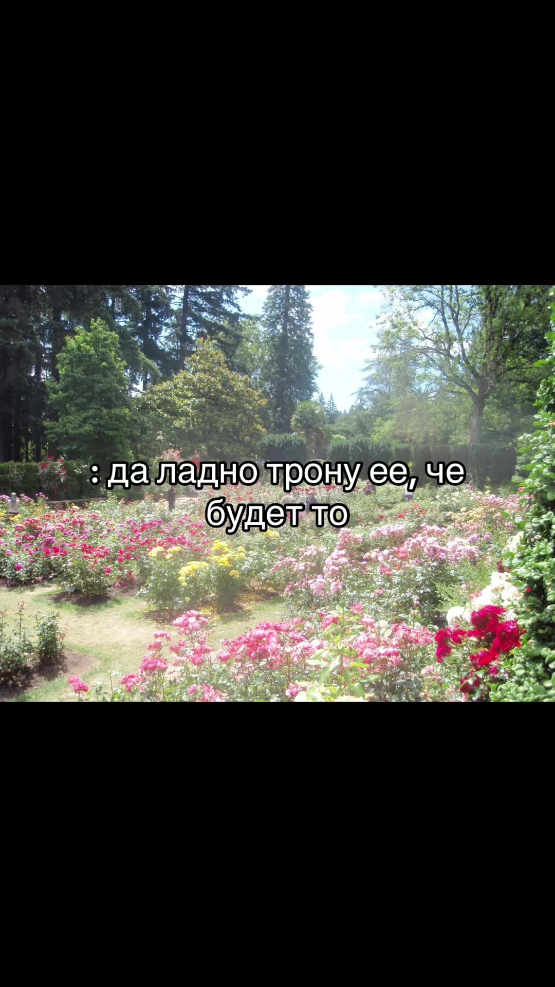 @лэйн