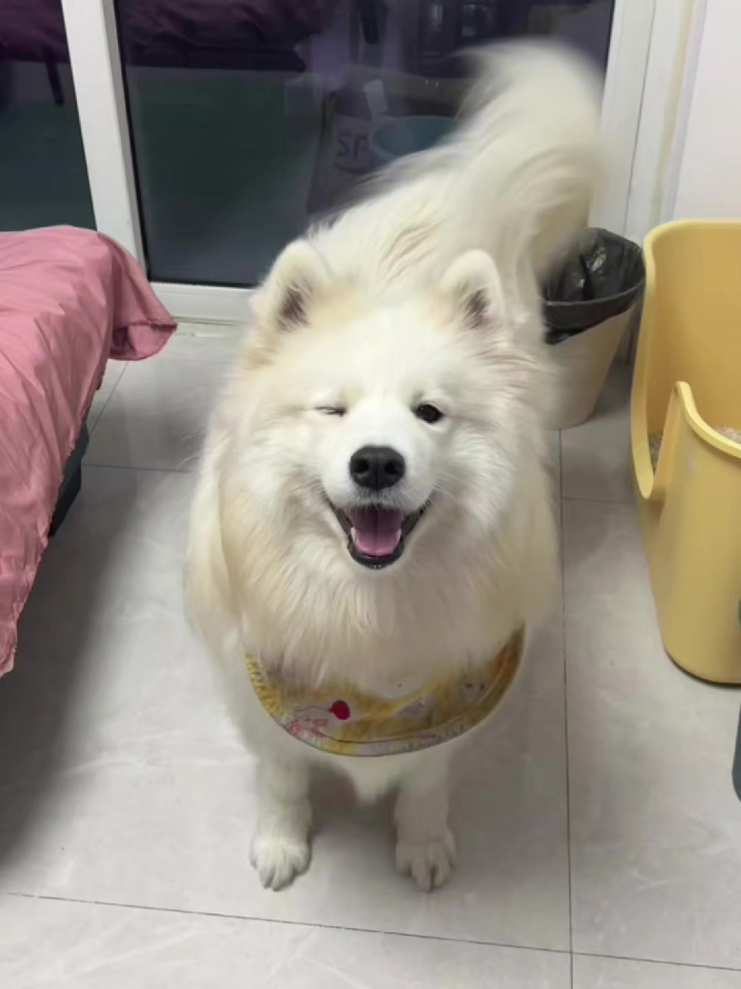 @平凡無奇
