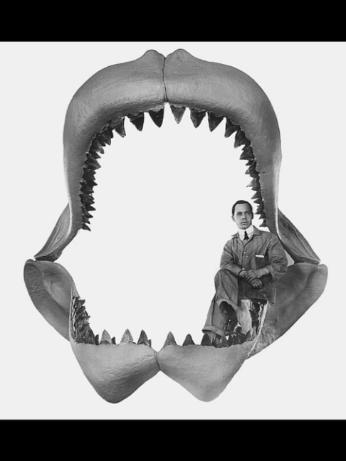 @Extinction Cometh