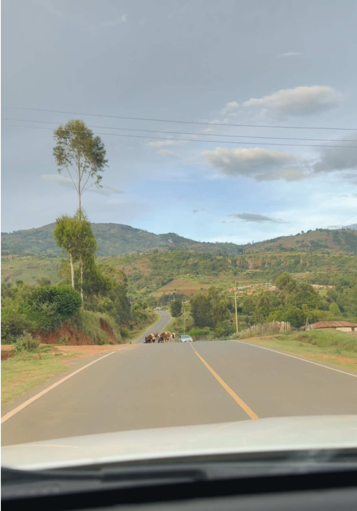 @RoadRecce