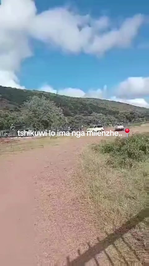 @Mudzuli Z🔞