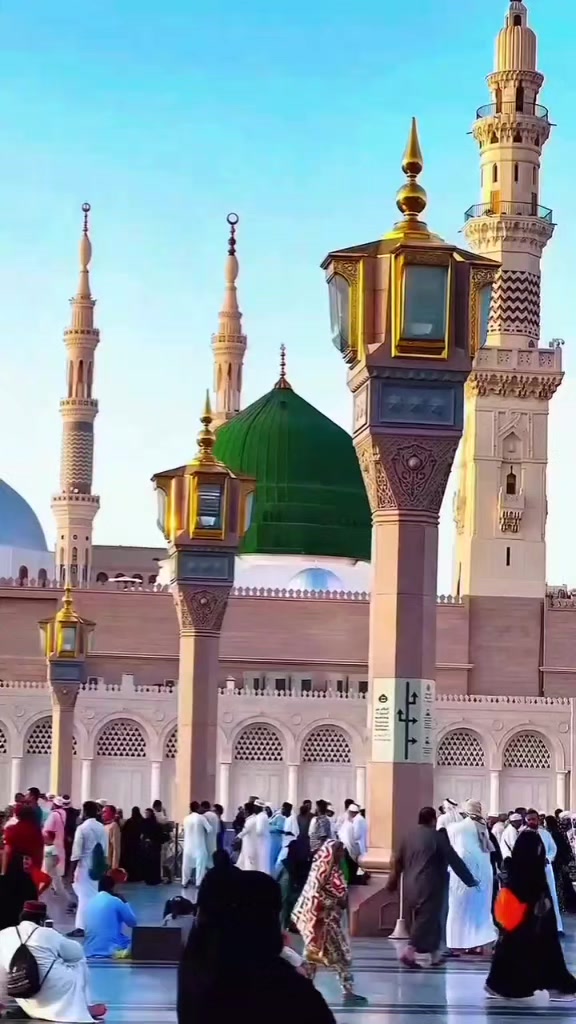 @m.amshrajpoot786