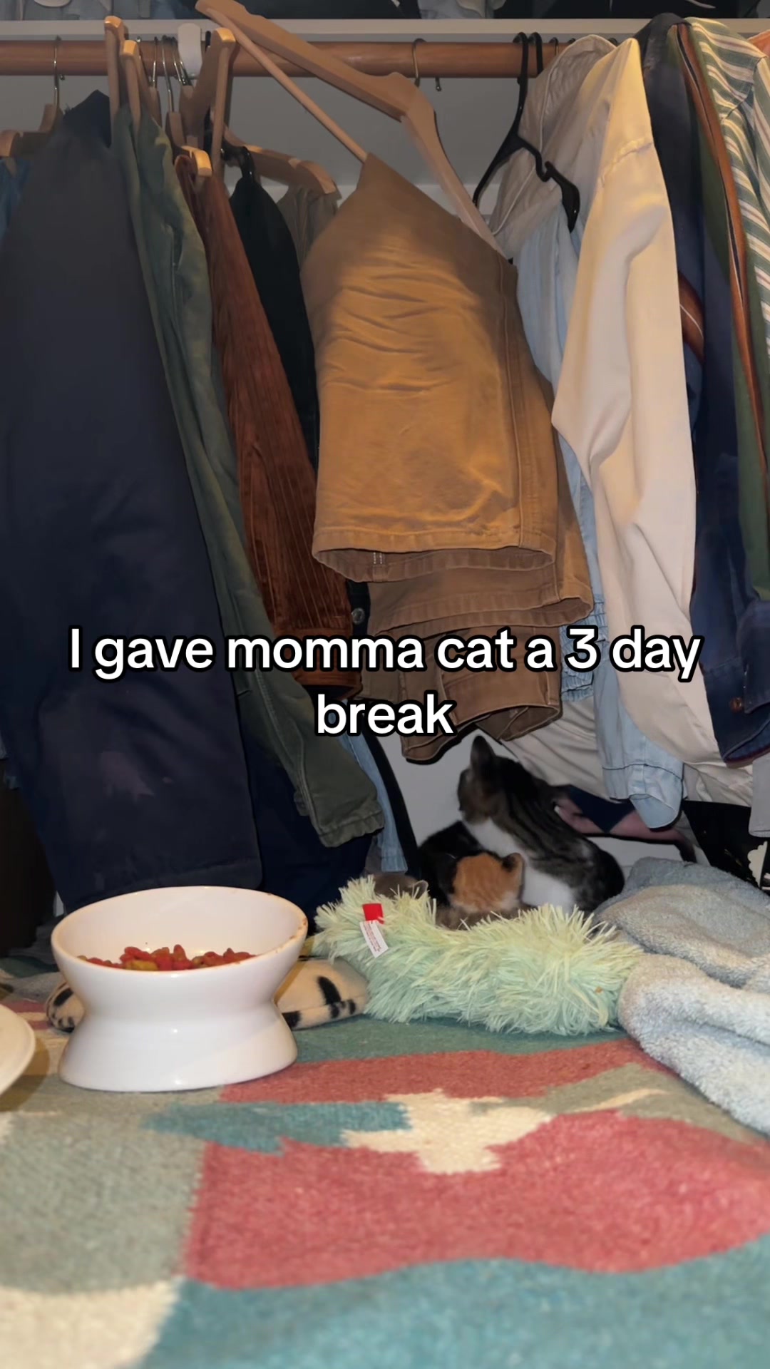 @Hassanwithkittens