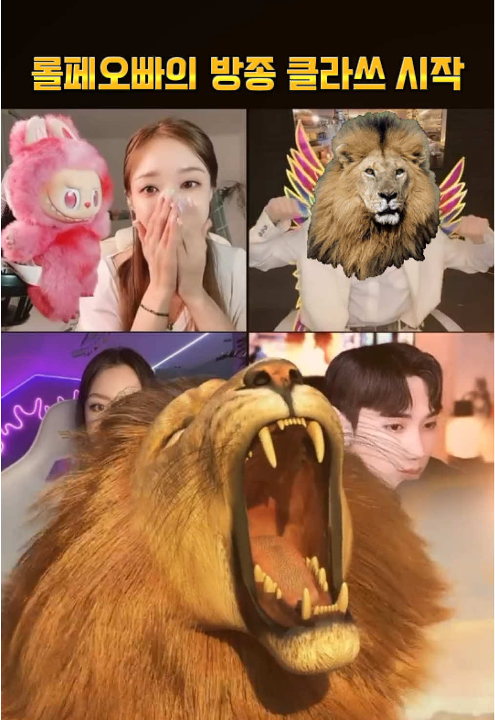 @๐ธ๐ผํธ์ด์ฌQiseul๐ฆ