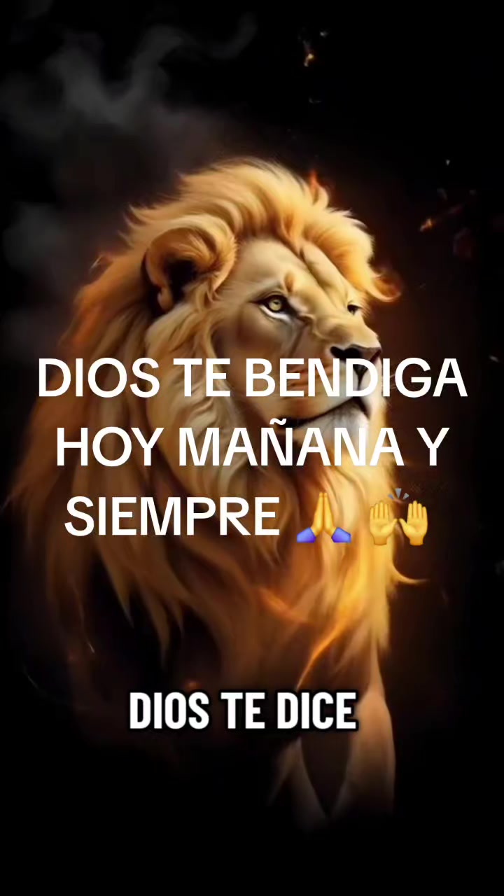 @Iliana Guerrier