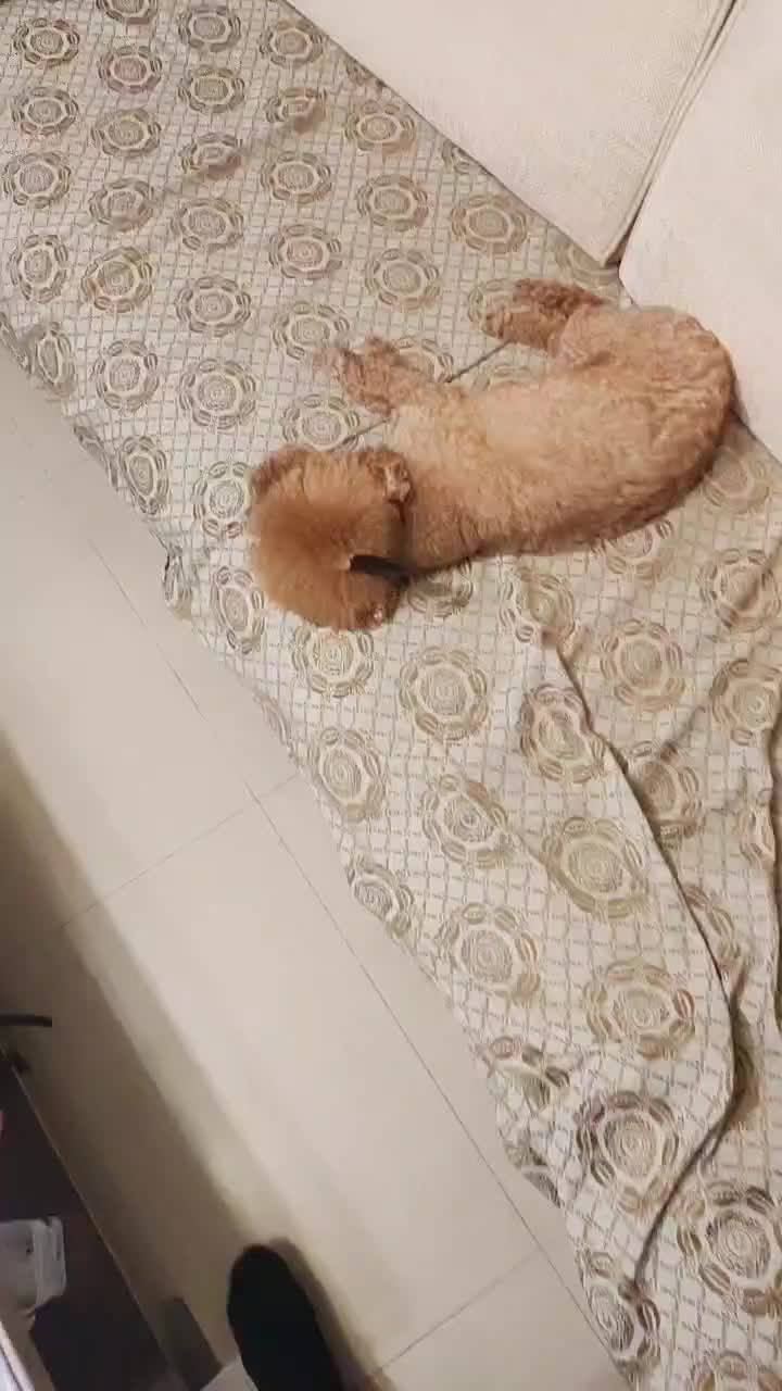@鈞鈞