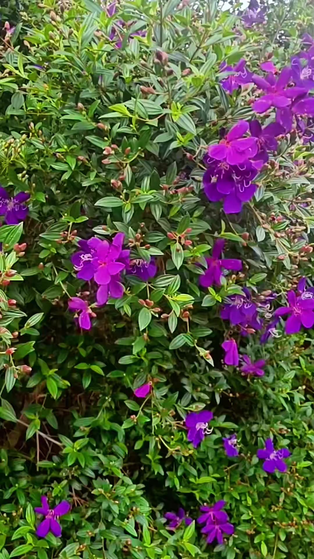 @Hữu.Nguyên 57
