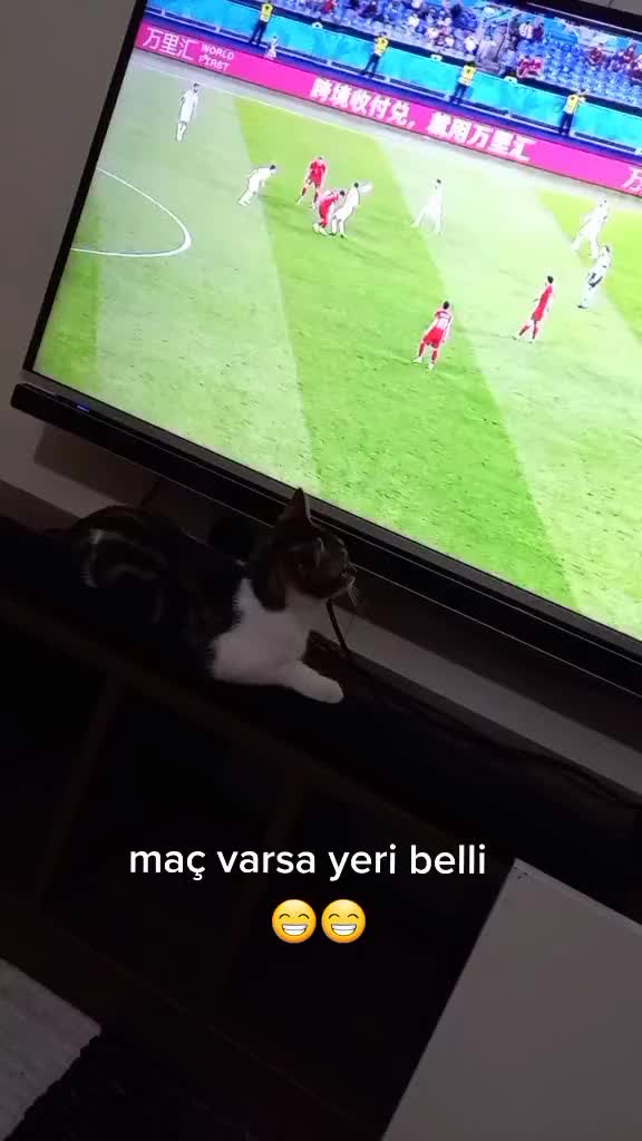 @Caner ince