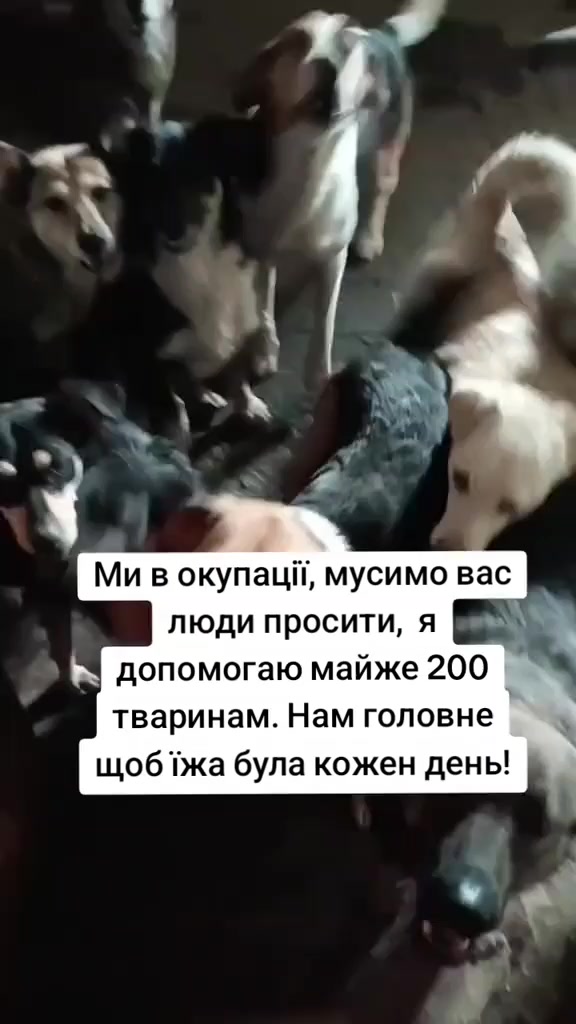 @tvarinkidobra