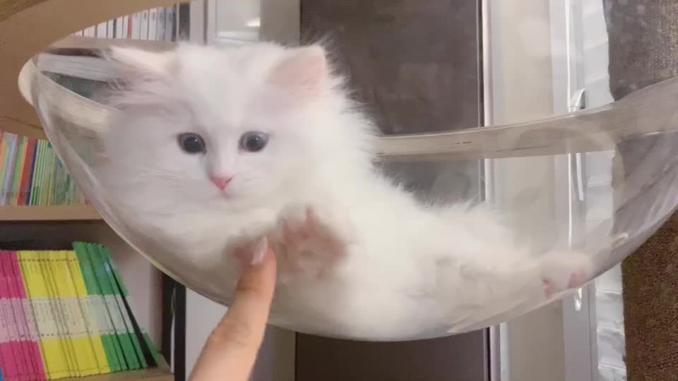 @Yuliandcats