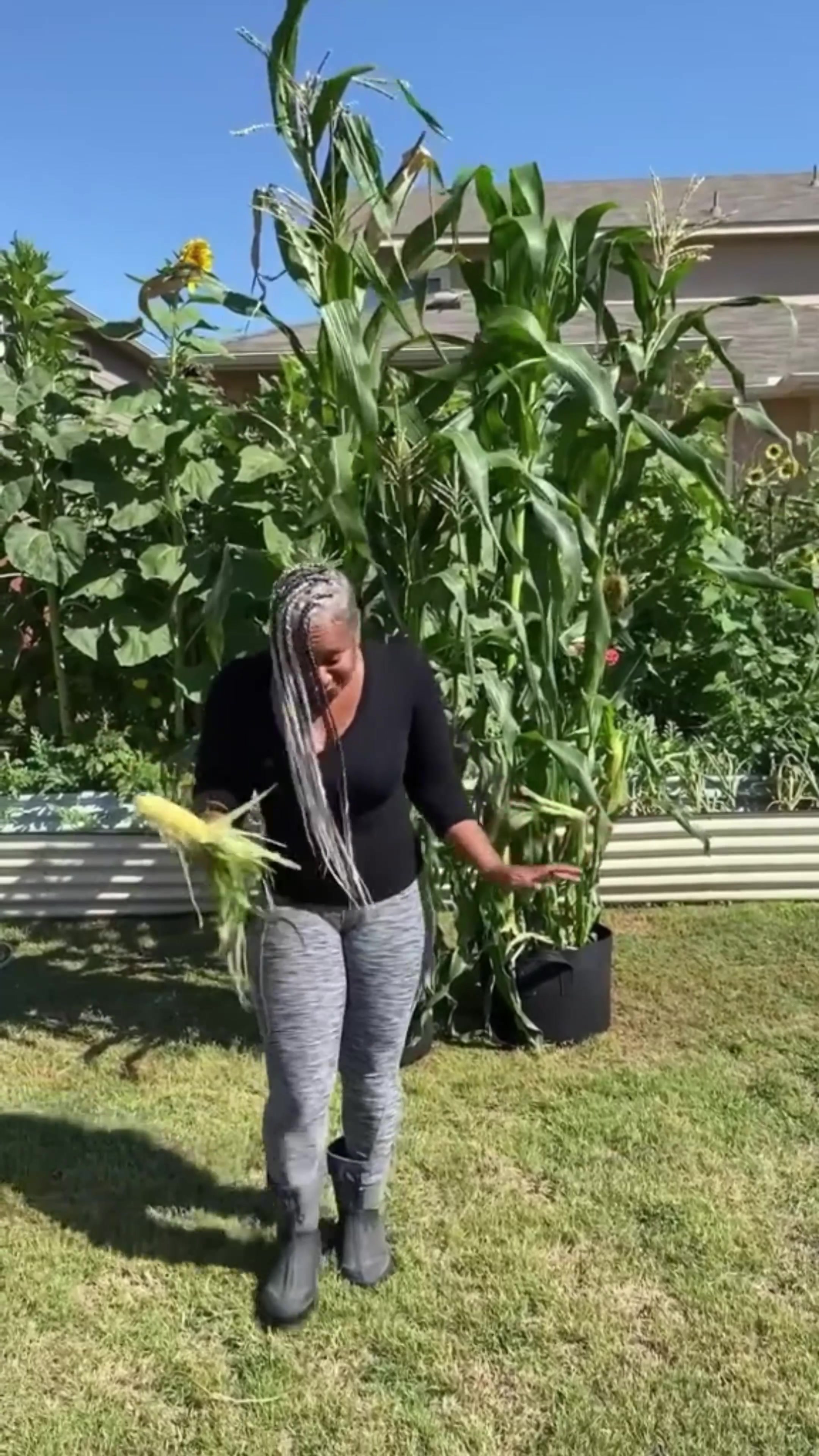 @The Okra Lady LLC