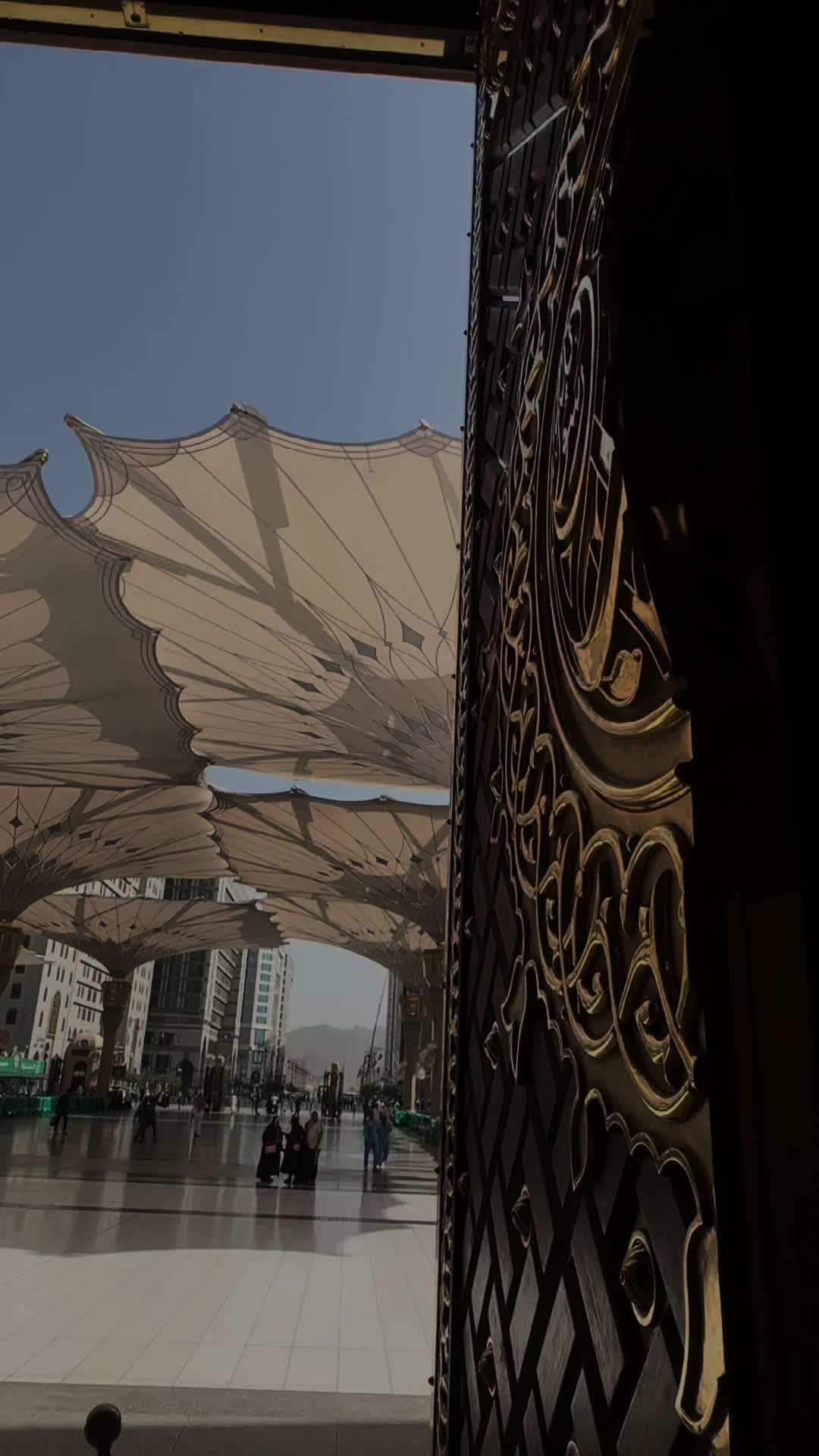 @متطوعة | المدينة المنورة 🕌