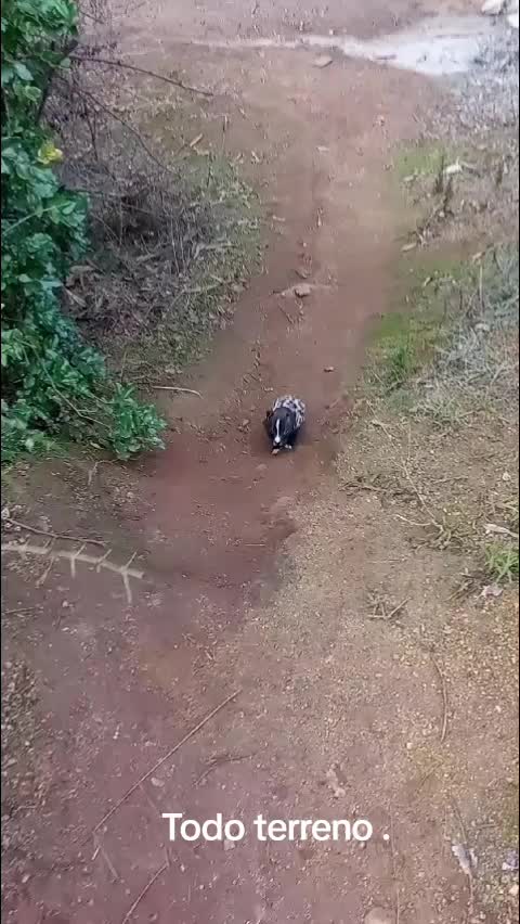 @hansgc8