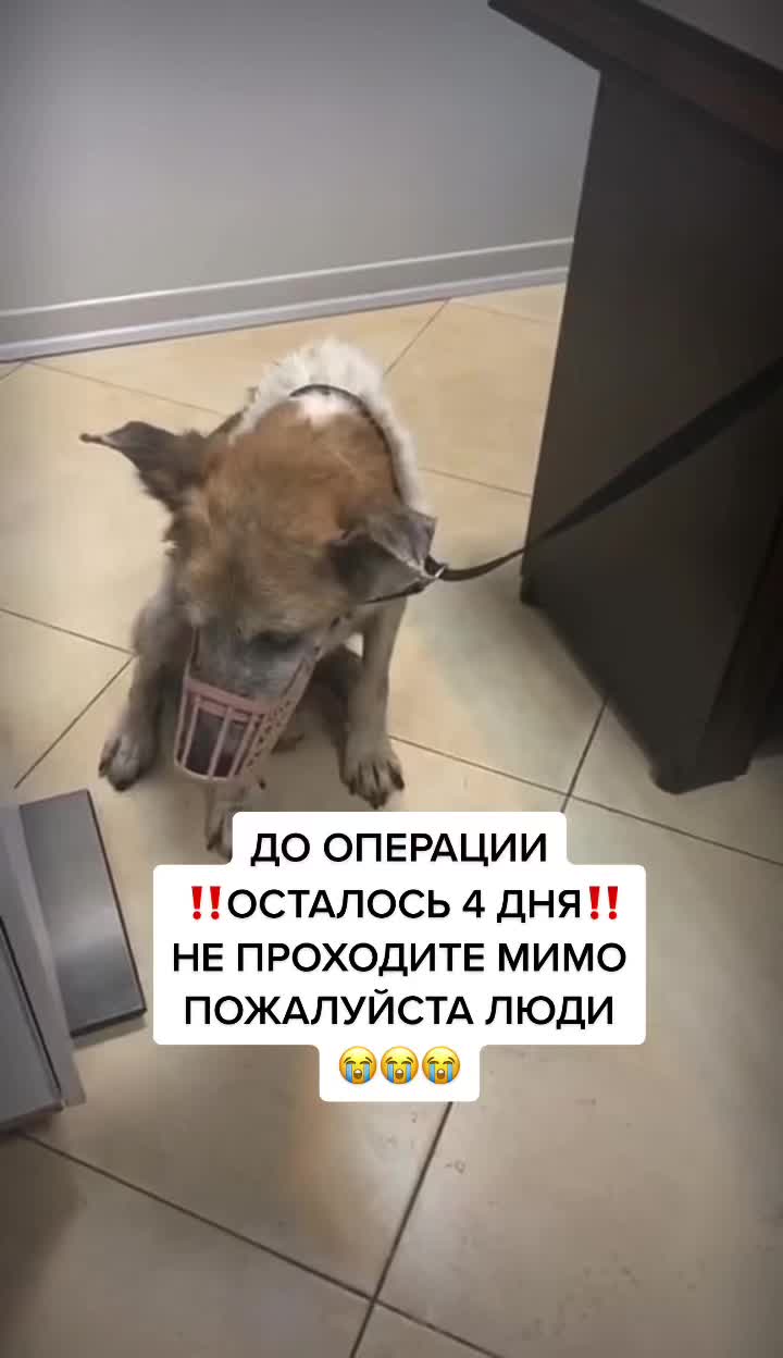 @Елена Белова