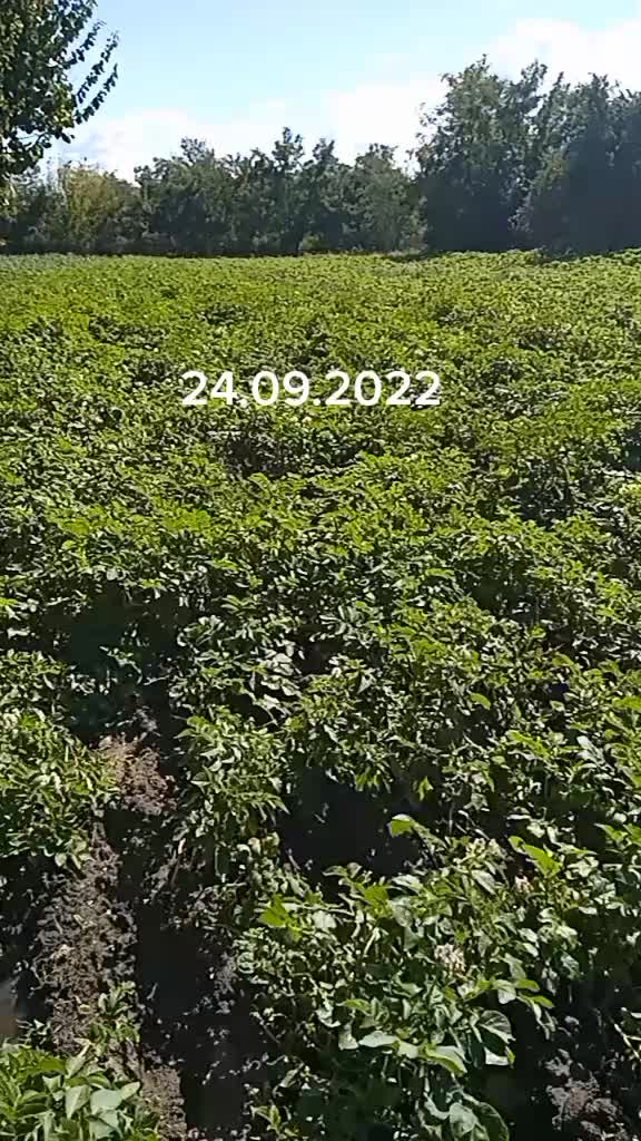 @Анжела Романенко81