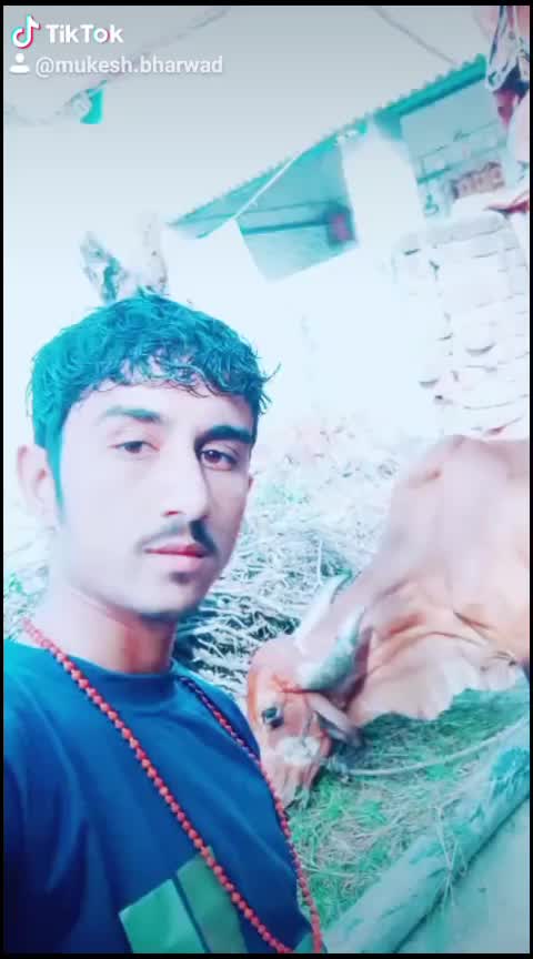 @Mukesh