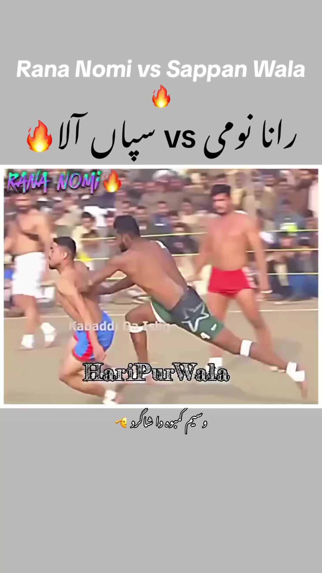 @⚡️HariPurWala Kabaddi Edits⚔️