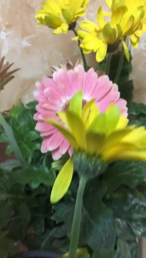 @ധനുർവേദ്