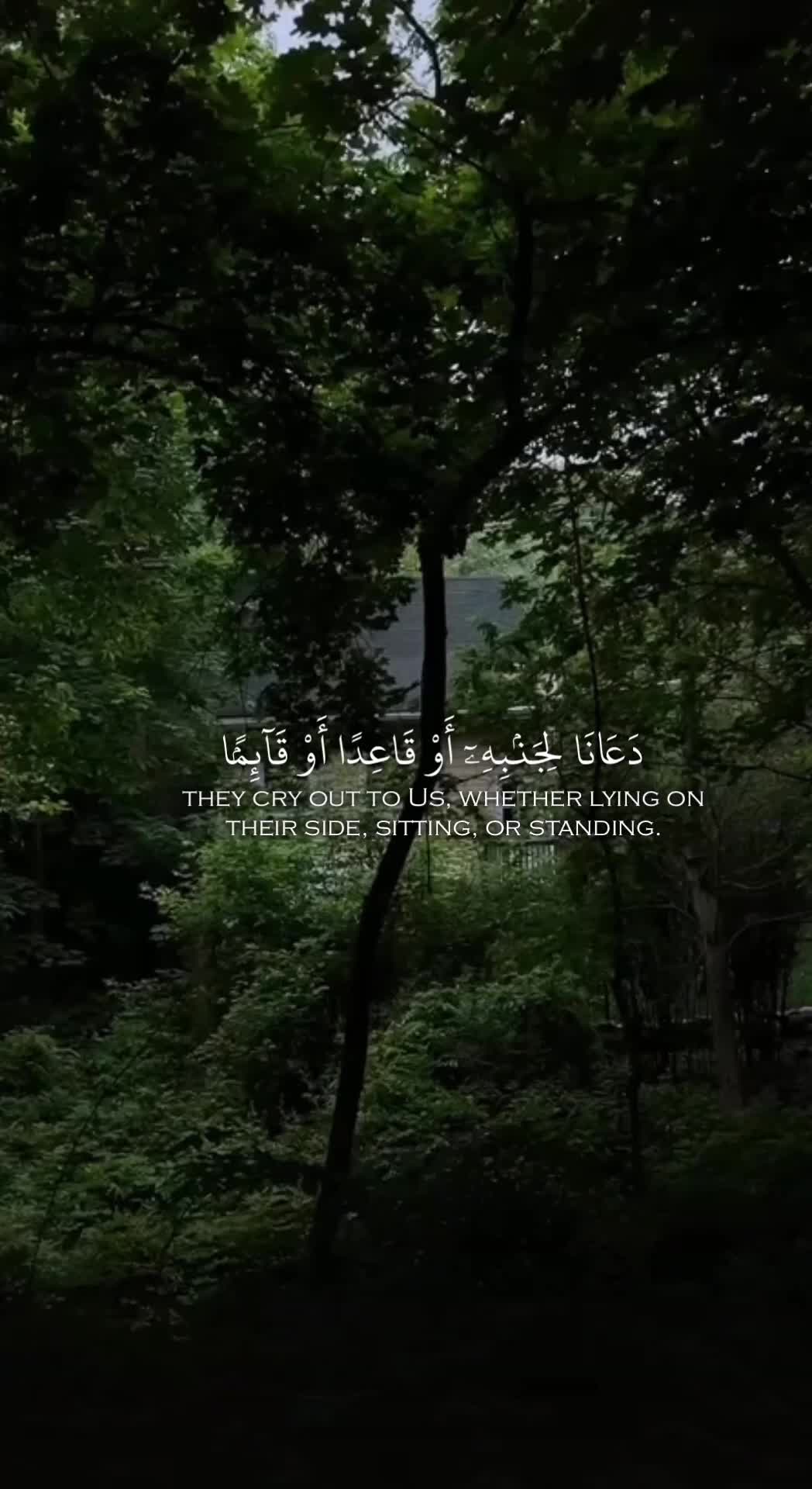 @k65ee