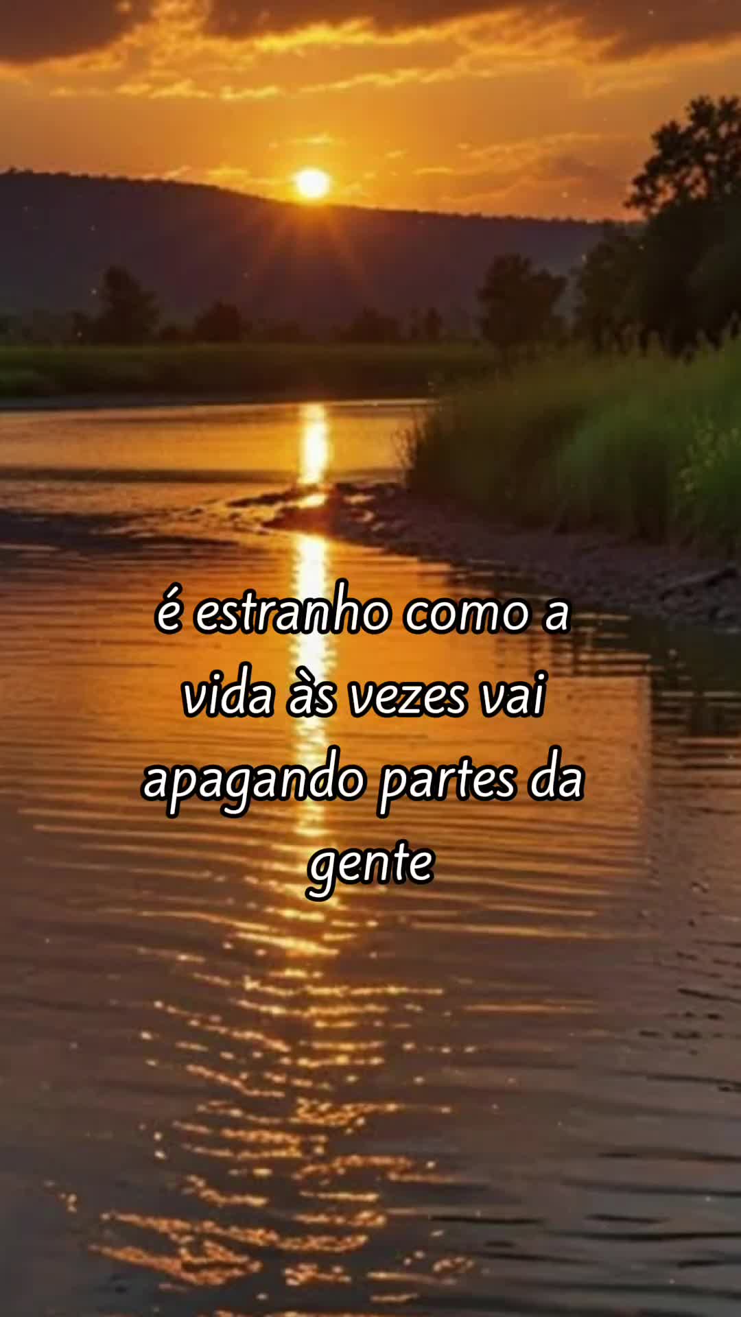 @Fernanda Matos