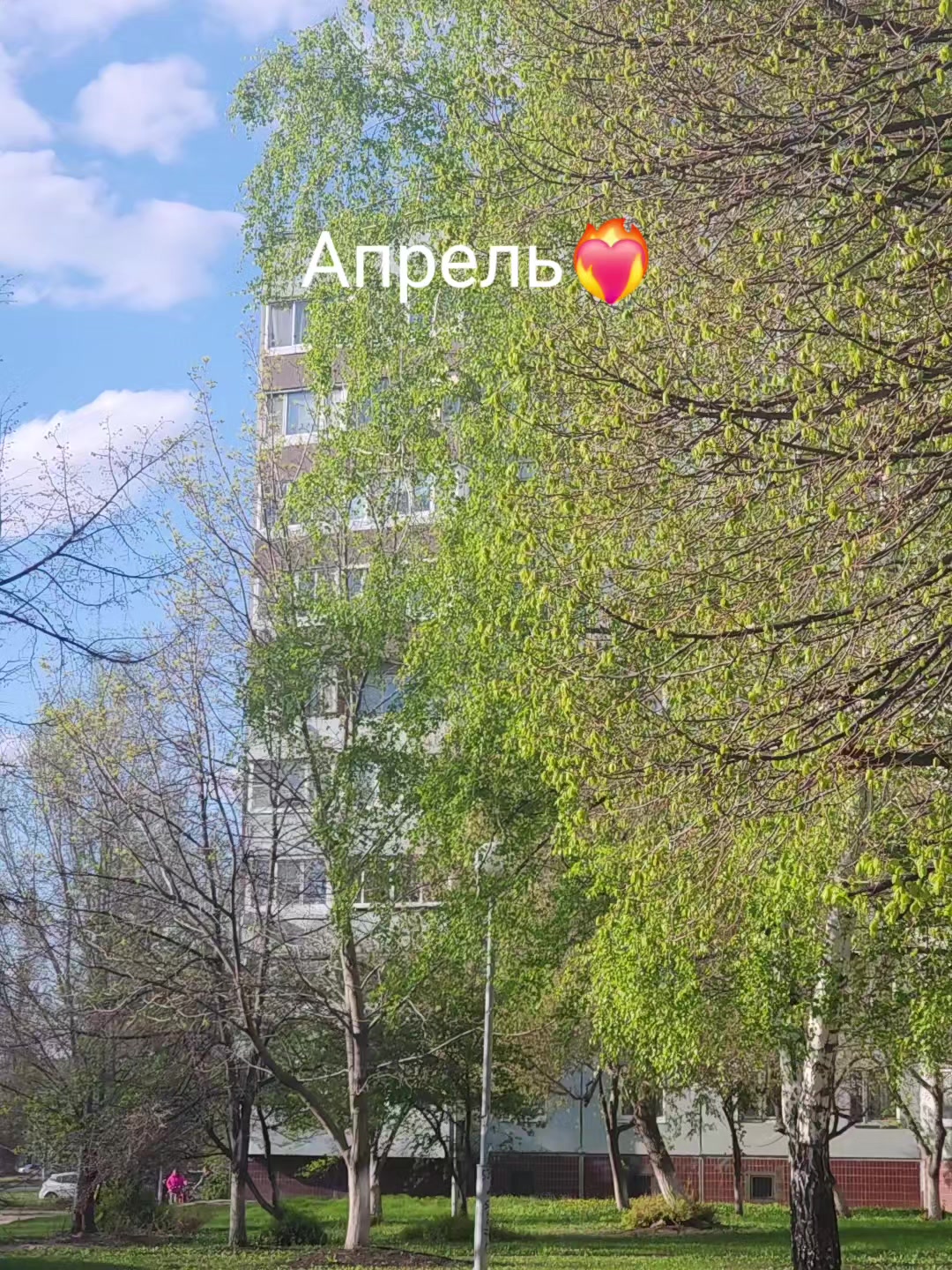 @4x // Redmi 4X