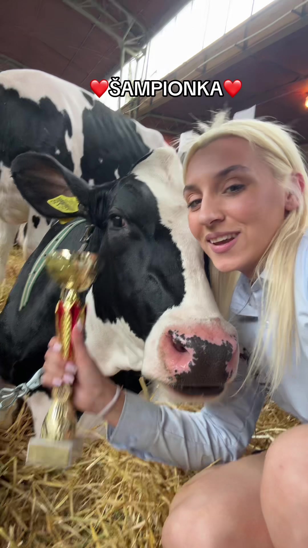 @Sofija Plavšić 🐮