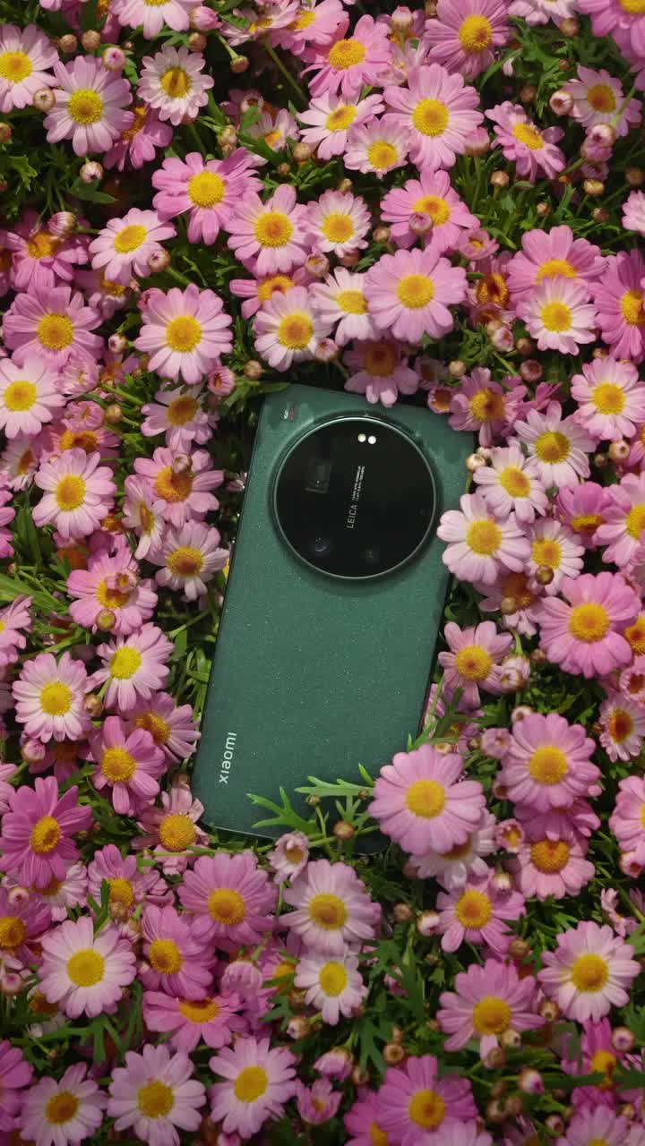 @Xiaomi UK