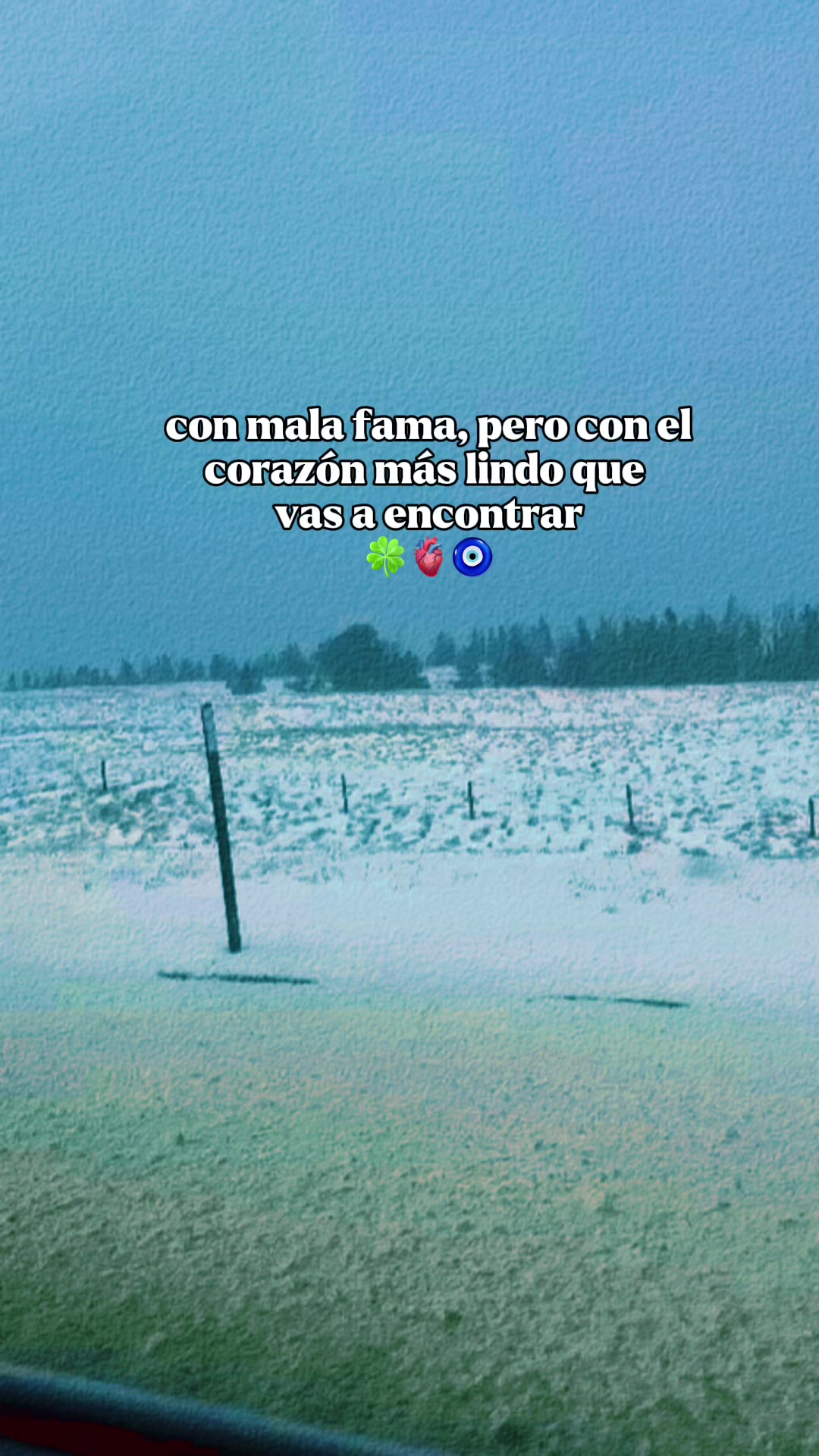 @Lupita Escalante5