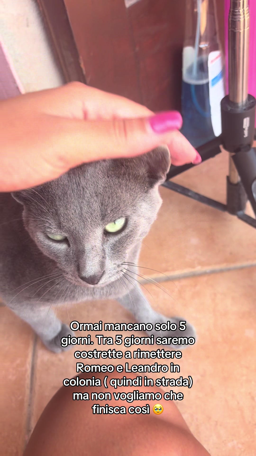 @Nadia Fois
