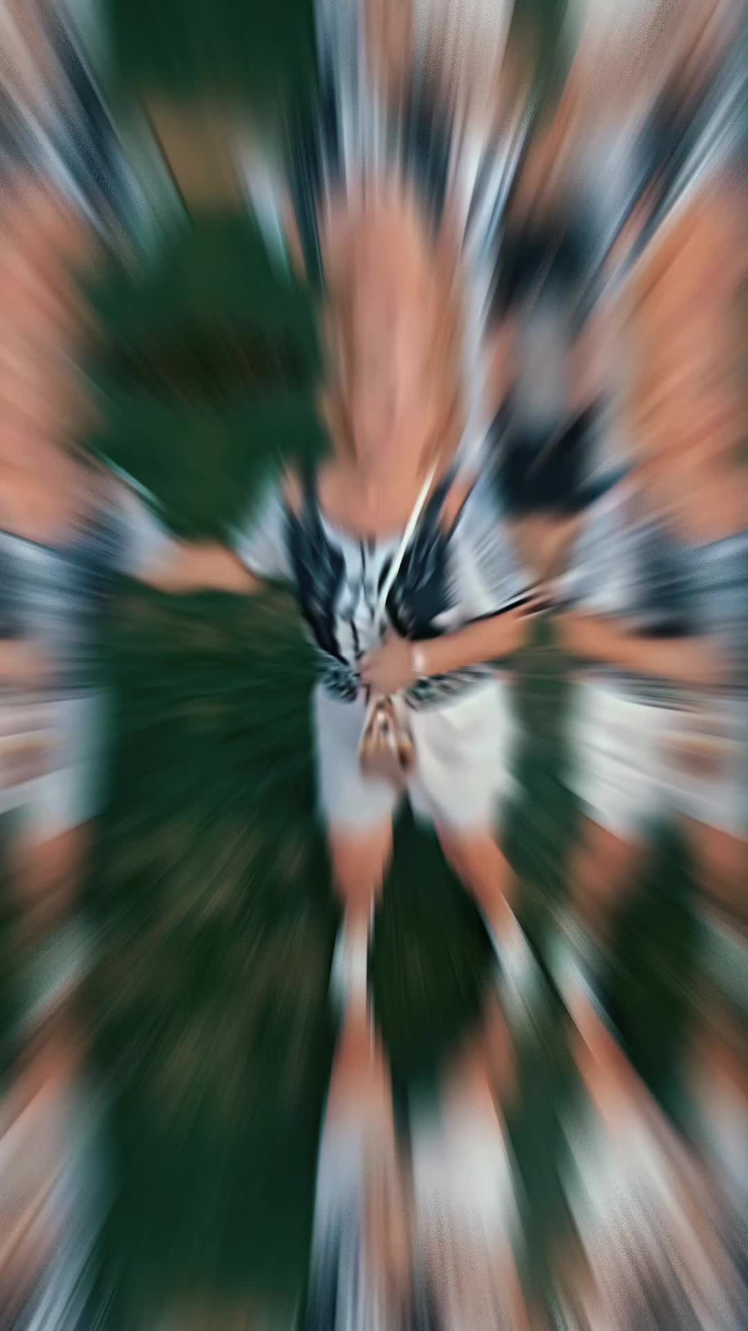 @DanaRachitan