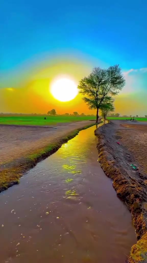 @امیر صفدر اعوان