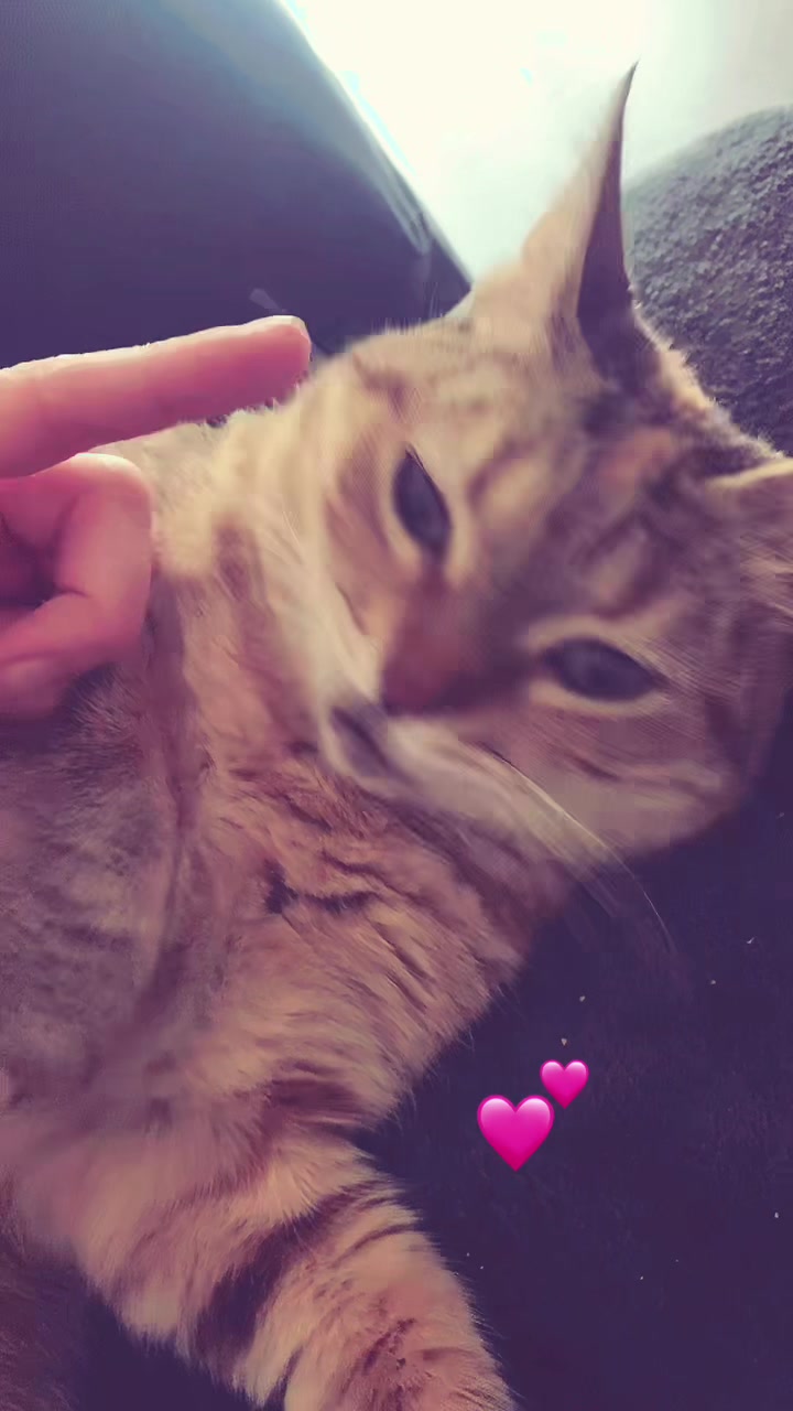 @Niinaaaa