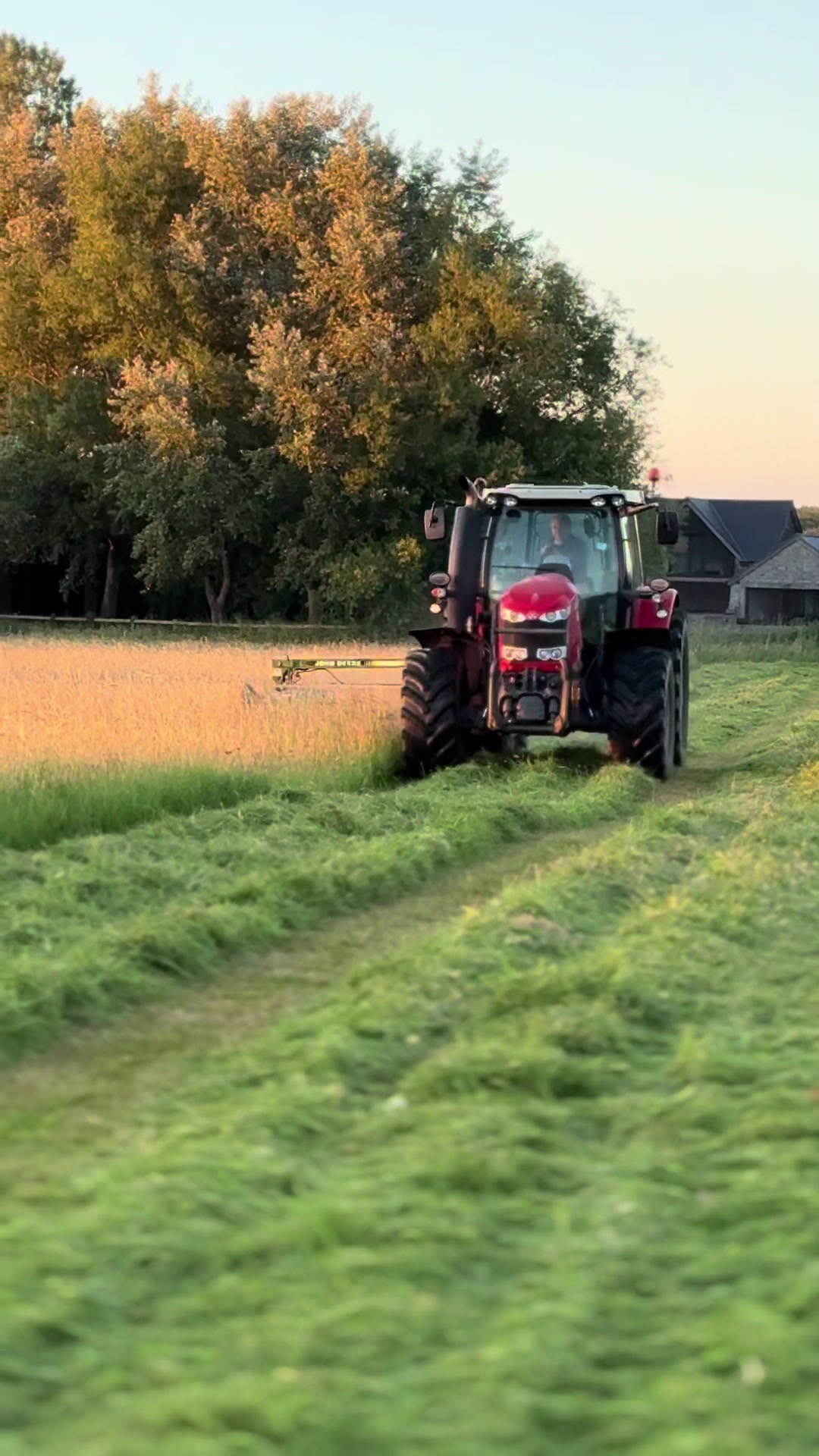 @Wogby 🚜🌾